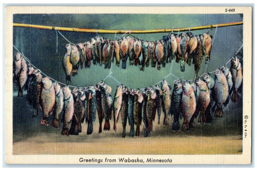 1946 Greetings From Wabasha Minnesota MN, Fishes Posted Vintage Postcard