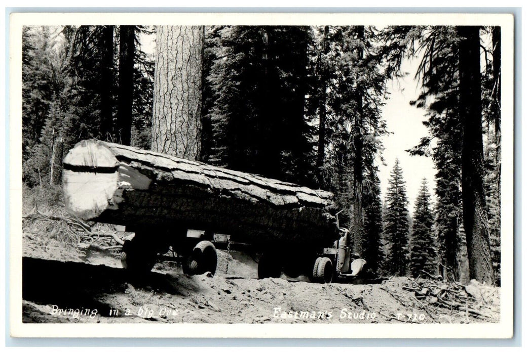 c1940's Bringing In A Big One Logging Truck Eastman's Studio RPPC Photo Postcard