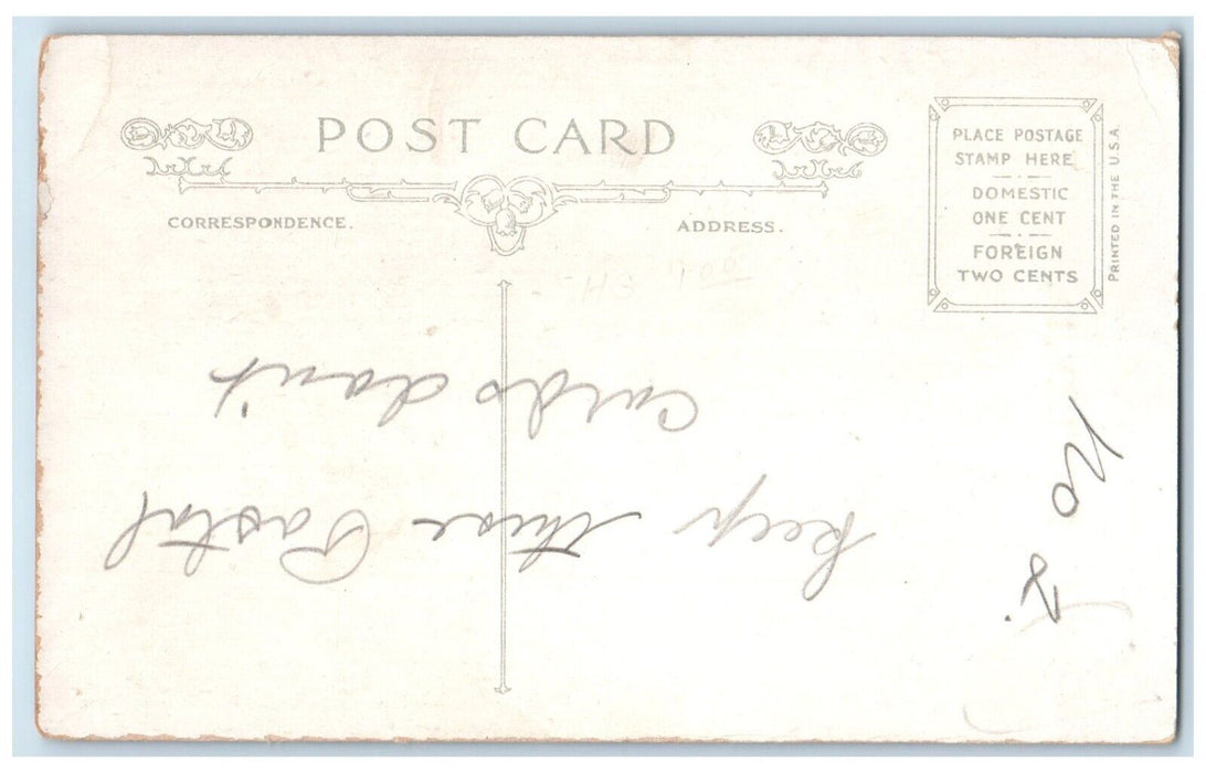 c1910 It's Great To Be Lovers Couple Field Rowley Iowa Vintage Antique Postcard