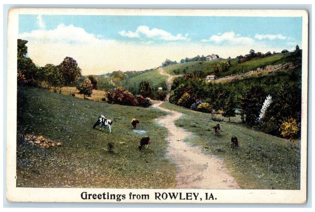 c1920 Greetings From Field Cow Mountain Rowley Iowa IA Vintage Antique Postcard