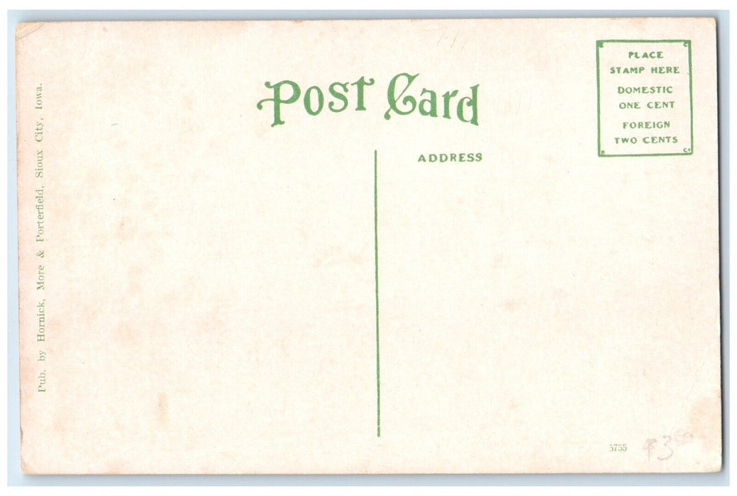 c1910's Bird's Eye View From Prospect Hill Sioux City Iowa IA Antique Postcard