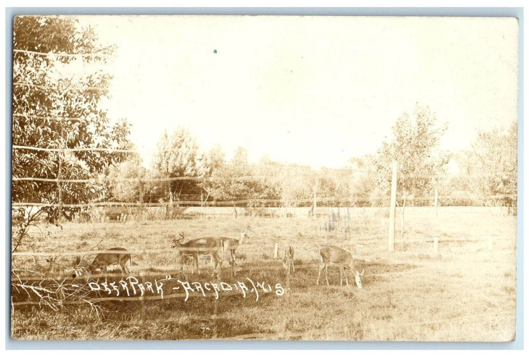 1916 View Of Deer Park Arcadia Wisconsin WI Rock Island IL RPPC Photo Postcard