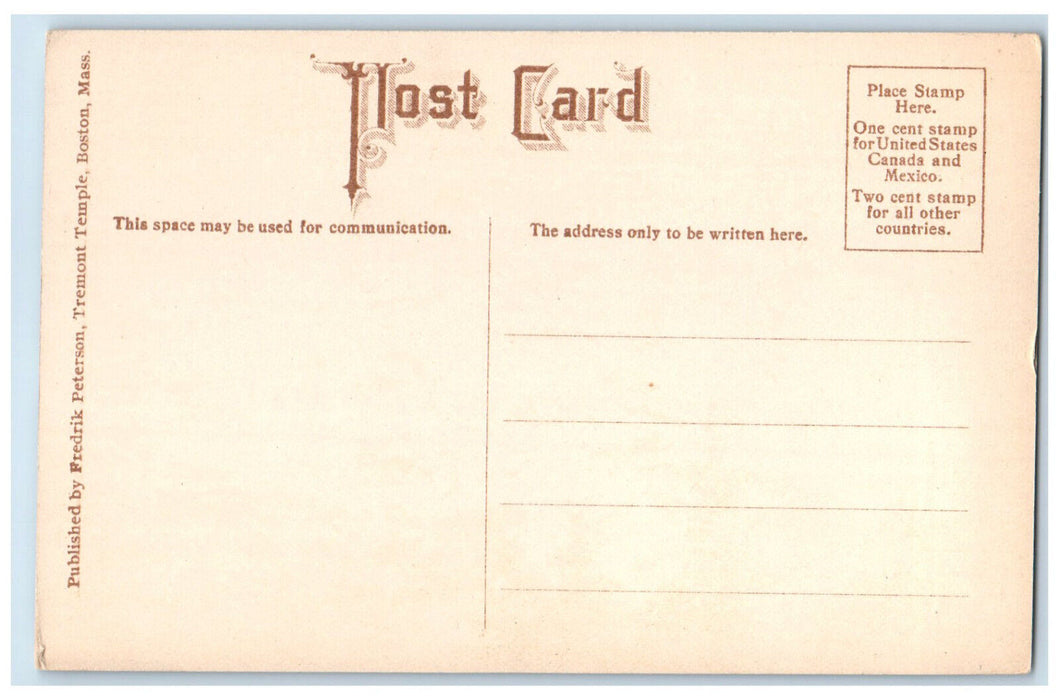 c1910 Panorama View Houses Buildings in Drammen Norway Antique Unposted Postcard