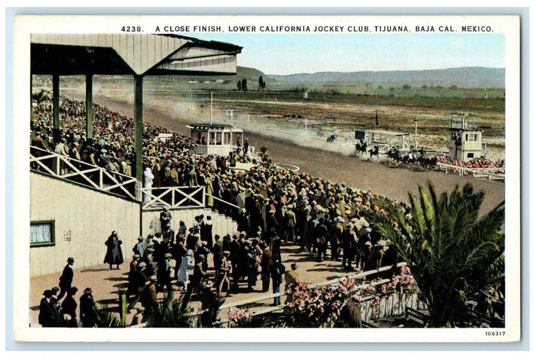 c1920's A Close Finish Lower California Jockey Club Tijuana BC Mexico Postcard