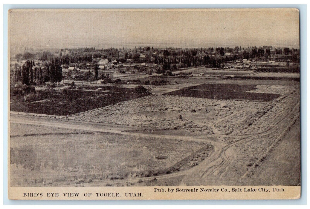 c1910's Bird's Eye View Of Tooele Utah UT Unposted Antique Postcard