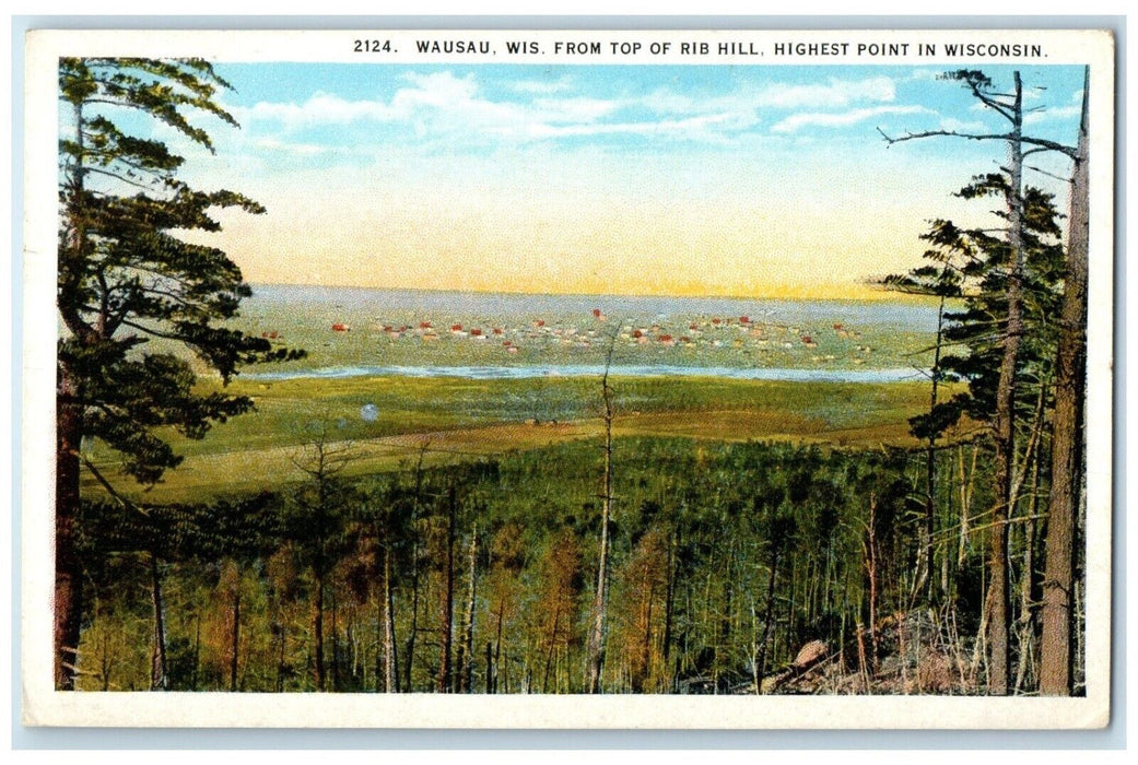 1920 Scenic View Top Rib Hill Highest Point Wausau Wisconsin WI Vintage Postcard