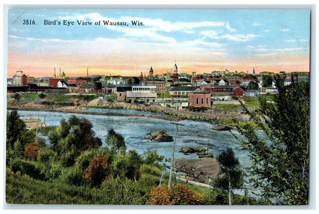 c1910 Birds Eye View Wausau River Trees Buildings Wisconsin WI Antique Postcard