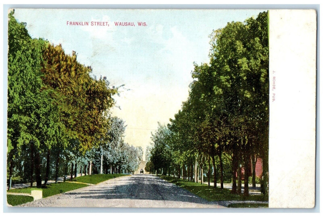 c1910 Scenic View Franklin Street Road Trees Wausau Wisconsin Unposted Postcard