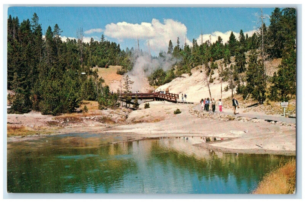 1960 Mud Volcano Area Dragon's Mouth Spring Yellowstone National Park Postcard