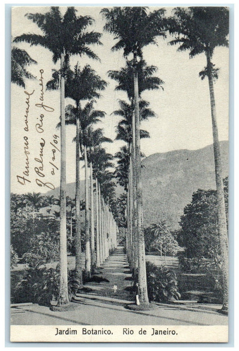 1909 Jardim Botanico Rio De Janeiro Brazil Unposted Antique Postcard