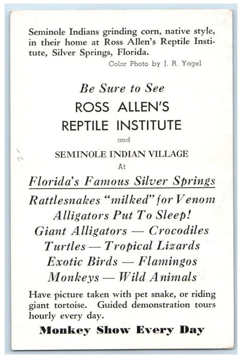c1960 Seminole Indians Ross Allen's Reptile Home Silver Springs Florida Postcard