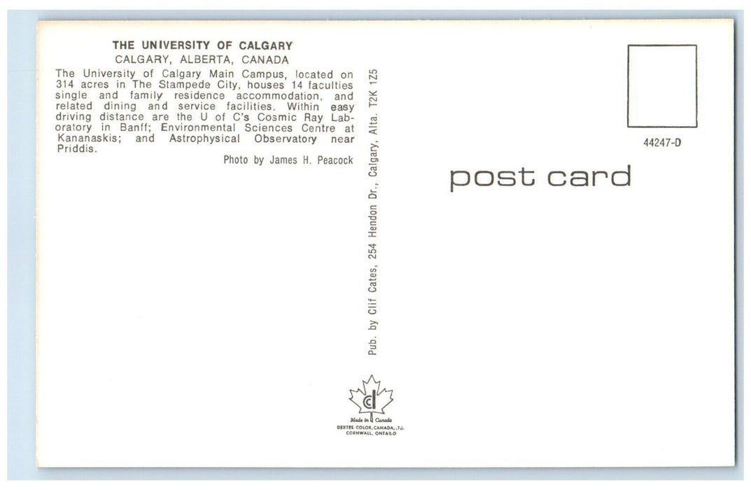 c1950's The University of Calgary Night Scene Alberta Canada Postcard