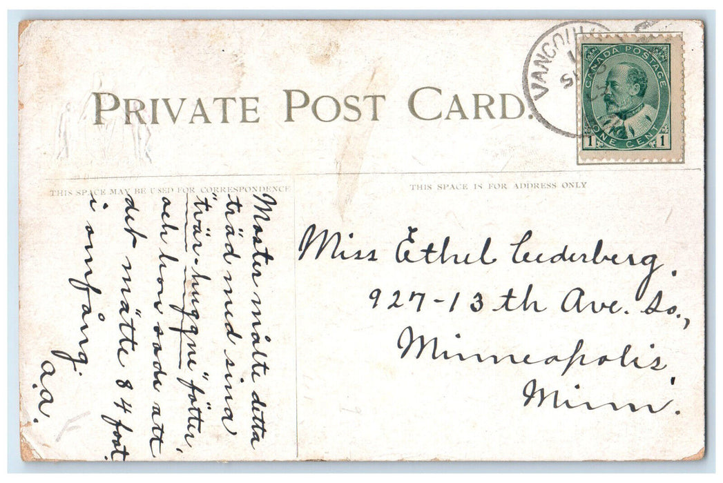 1905 Big Tree Stanley Park Vancouver British Columbia Canada Posted Postcard