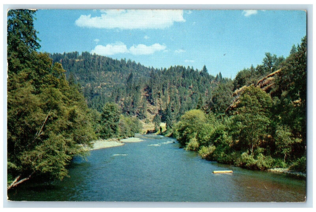 1962 Scenic View Mountain Trees Forest River Rogue River Trail Oregon Postcard