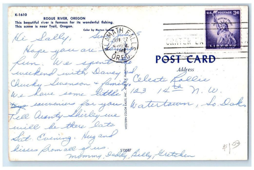 1962 Scenic View Mountain Trees Forest River Rogue River Trail Oregon Postcard