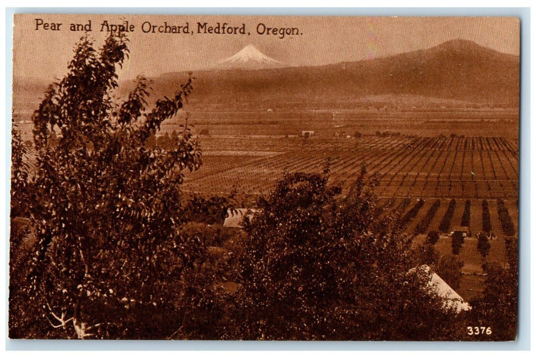 c1910's Pear And Apple Orchard Mountain View Medford Oregon OR Antique Postcard