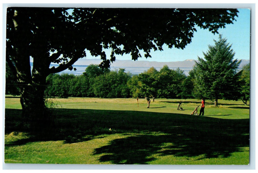 c1960's Golf Course Overlooks Malaspina Straits Powell River BC Canada Postcard