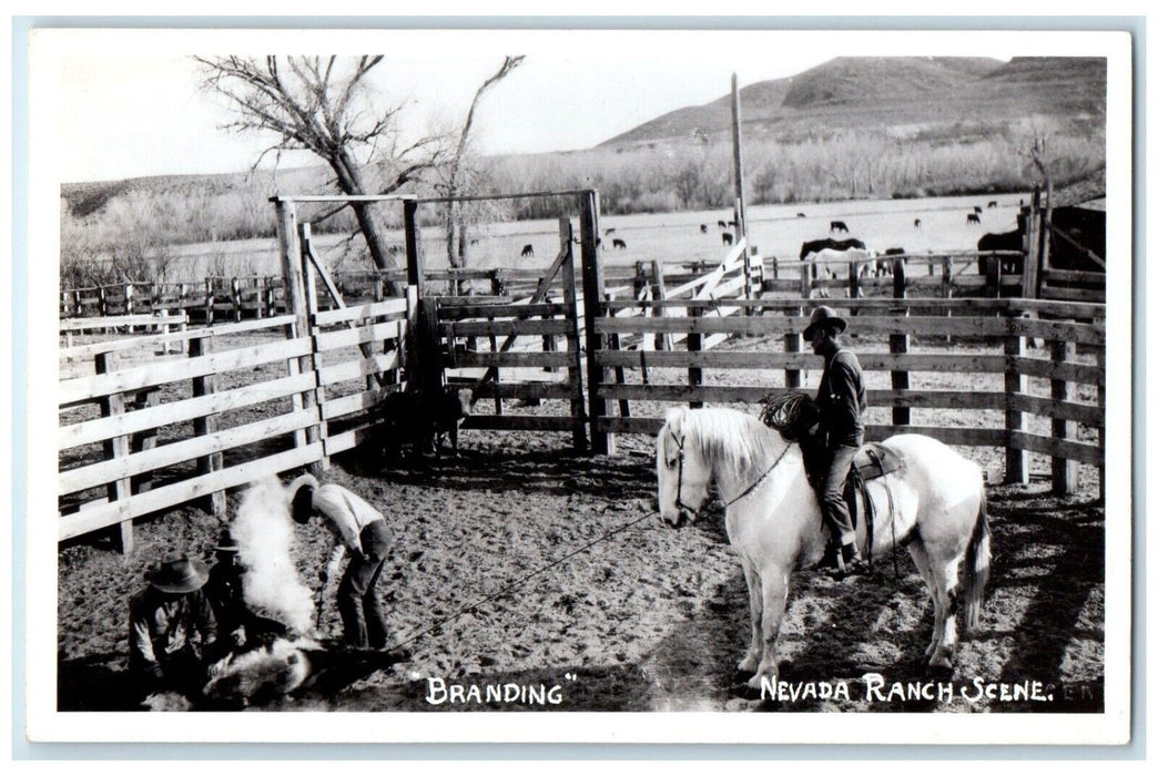 c1940's Branding Nevada Ranch Scene Horse Cowboys RPPC Photo Vintage Postcard