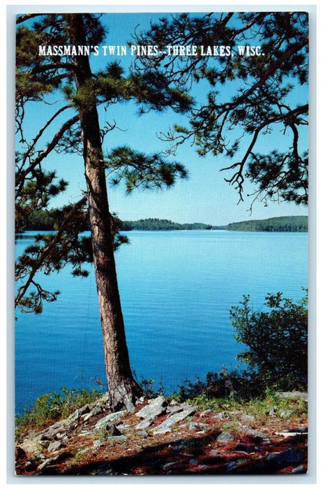 c1960 Scenic View Massmann Twin Pines Three Lakes Wisconsin WI Unposted Postcard