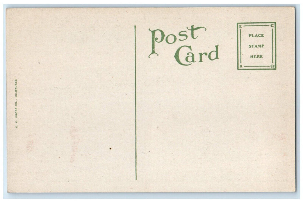 c1920 Scene Mineral Wells Park Crowd Line Classic Car Guthrie Oklahoma Postcard