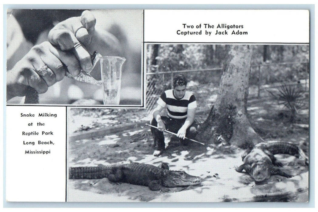 1940 Jack Adam's Reptile Park Multi-View Long Beach Mississippi Vintage Postcard