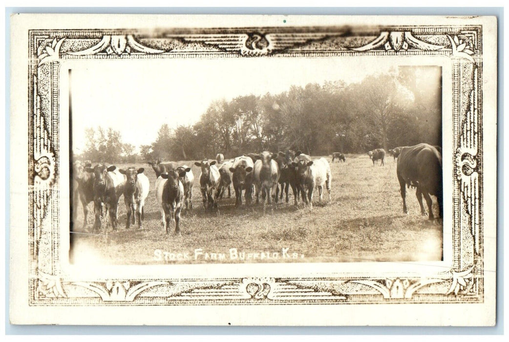 c1910's Stock Farm Cows Cattle Buffalo Kansas KS Animals RPPC Photo Postcard