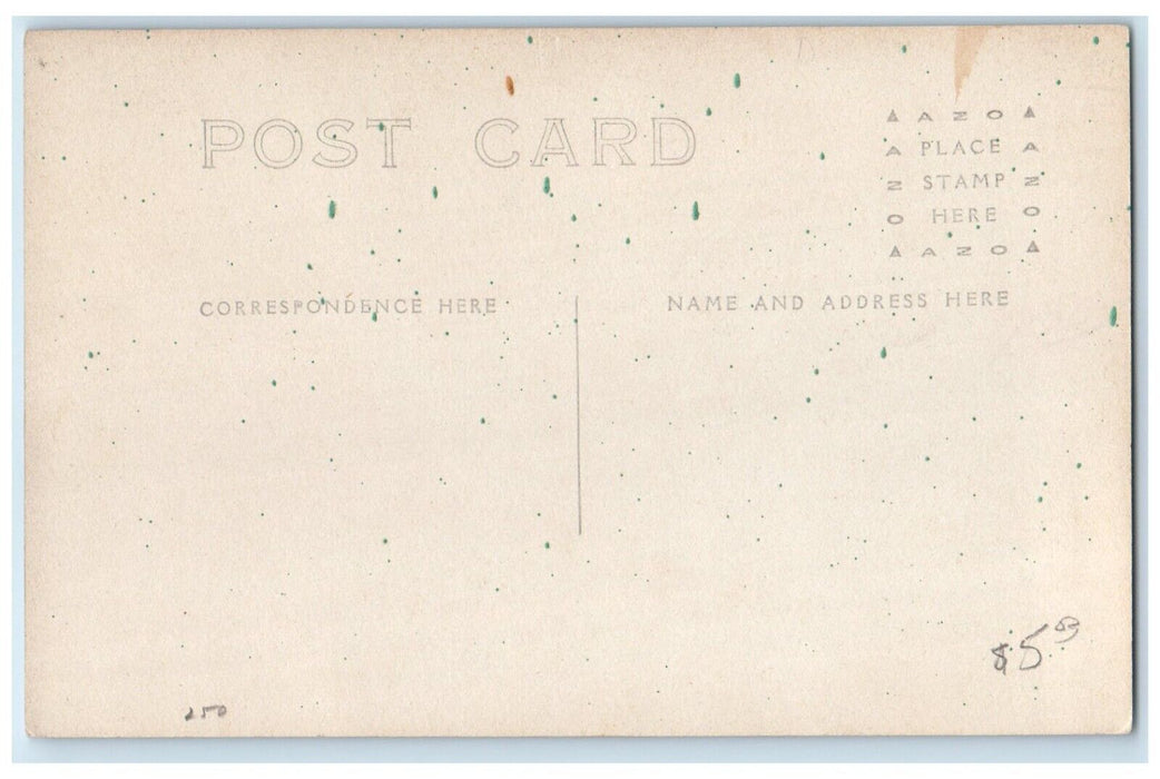 c1910's Stock Farm Cows Cattle Buffalo Kansas KS Animals RPPC Photo Postcard