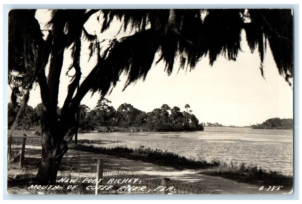 1950 New Port Richey Mouth Of Cotee River Florida FL Cline RPPC Photo Postcard
