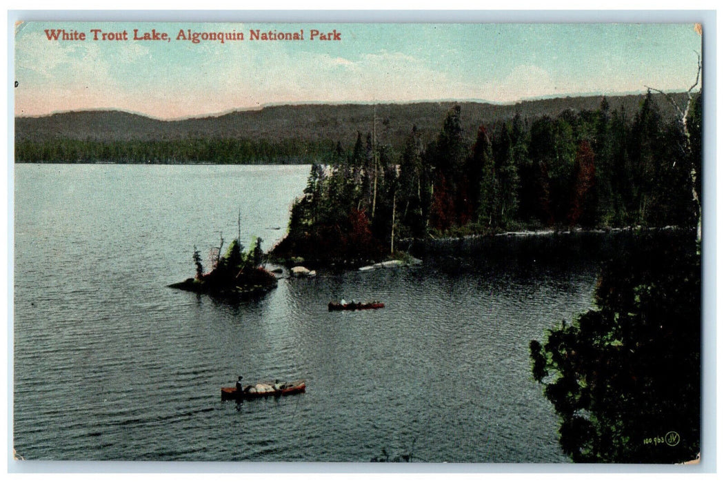 c1910 White Trout Lake Algonquin National Park Ontario Ontario Canada Postcard
