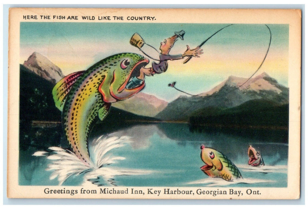 1964 Exaggerated Fish Greetings from Michaund Inn Key Harbour Canada Postcard