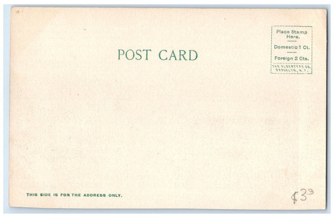 c1905 View Of The Royal Poinciana Building Palm Beach Florida FL Postcard