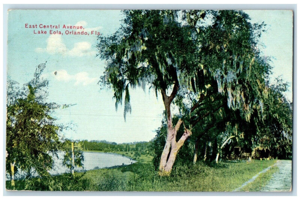 1911 View Of East Central Avenue Lake Eola Orlando Florida FL Antique Postcard