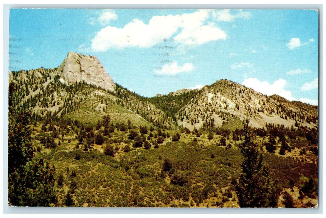 1963 Tooth Time Philmont Scout Ranch Cimarron New Mexico Posted Vintage Postcard