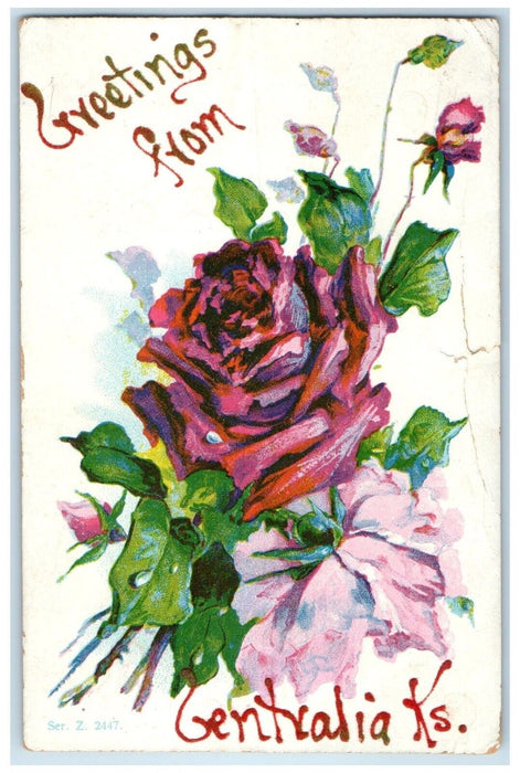 1908 Greetings From Centralia Kansas KS, Flowers Posted Antique Postcard