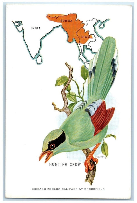 Chicago Zoological Park At Brookfield Illinois IL Hunting Crow Bird Postcard