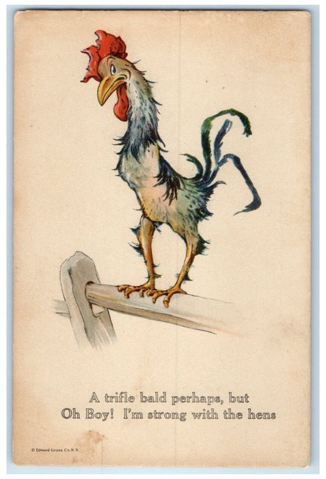 c1910's Skrawny Weak Rooster Triple Bald Comic Humor Unposted Antique Postcard