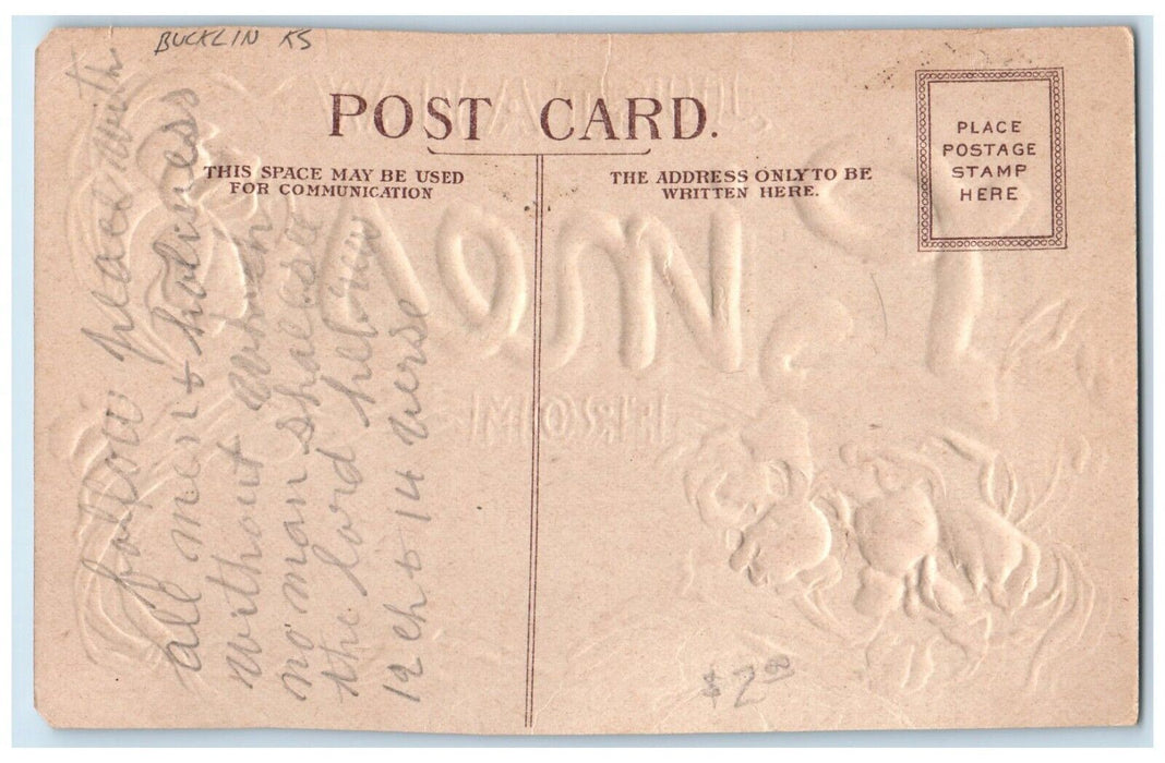 c1910 Just A Few Lines From Embossed Flower Bucklin Kansas KS Vintage Postcard