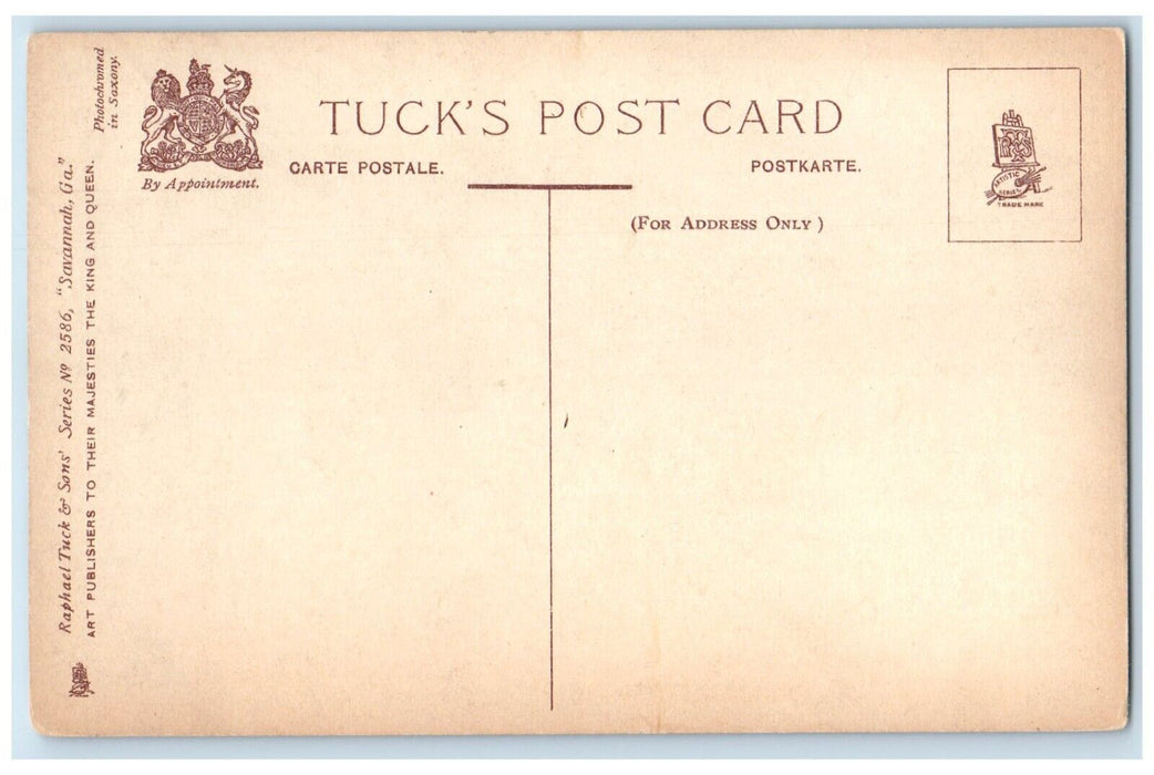 c1910's Chatham Academy Building Horse Carriage Savannah Georgia Tuck's Postcard