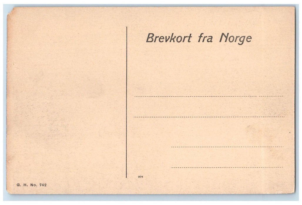 c1910 River Train Locomotive Bergensbanen-Langs Taugevand Norway Postcard