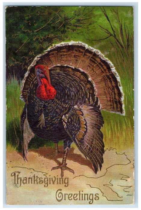 c1910's Thanksgiving Greetings Turkey Embossed Erie Pennsylvania PA Postcard