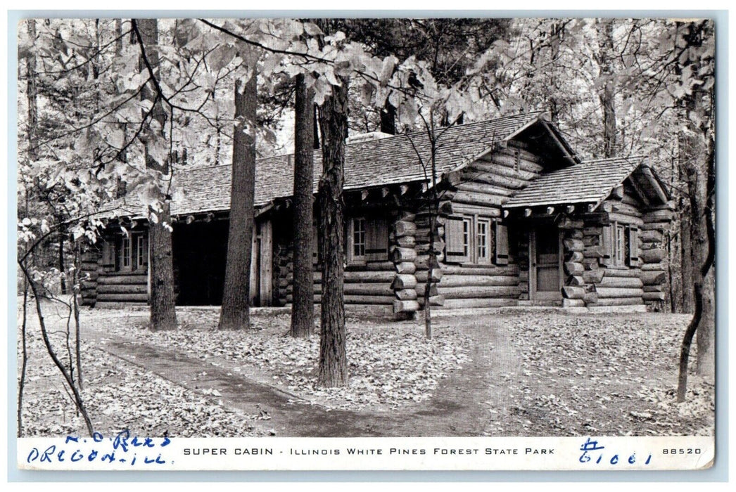 1966 Super Cabin Illinois White Pines Forest State Park Illinois Posted Postcard