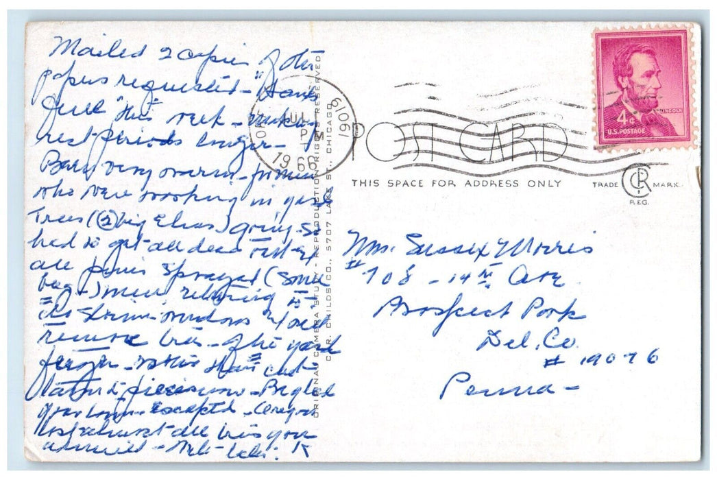 1966 Super Cabin Illinois White Pines Forest State Park Illinois Posted Postcard