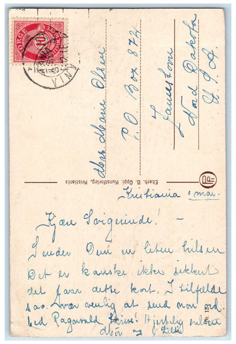 c1910 Dronningen Bygdo Kristiania Oslo Norway Posted Antique Postcard