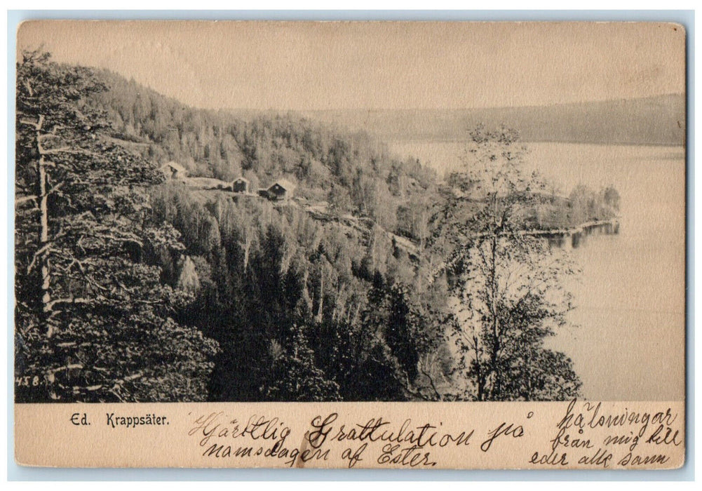 1907 View of River Trees in Krappsater Sweden Posted Antique Postcard