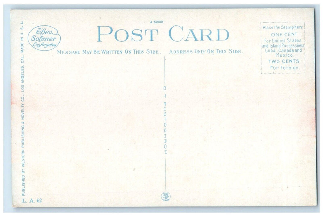 c1910 Exterior View Branch University California Los Angeles California Postcard