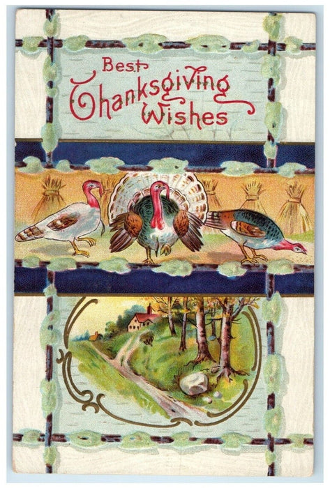 Thanksgiving Wishes Turkey Winsch Back Embossed Unposted Antique Postcard