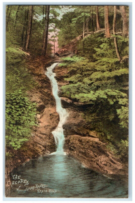 c1910 Cascades Wallingford State Road Danby Rutland Vermont VT Vintage Postcard