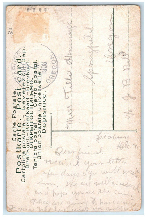 1908 Tittie Woman Name And Flowers Glitter Leaburg Oregon OR Antique Postcard