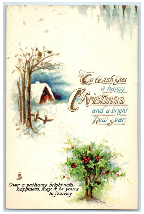 1915 Christmas And New Year Holly Berries Winter Gloversville NY Tuck's Postcard