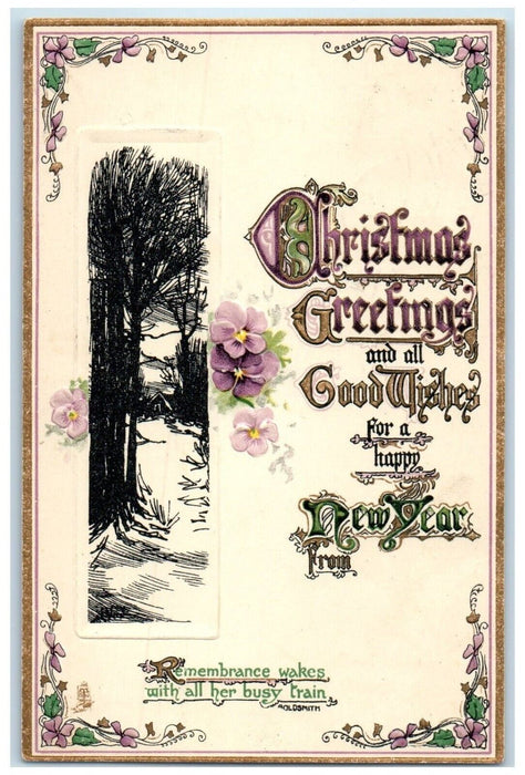 1910 Christmas Greetings And New Year Flowers Zumbrota Minnesota Tuck's Postcard